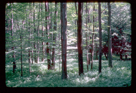 Slide898.jpg
